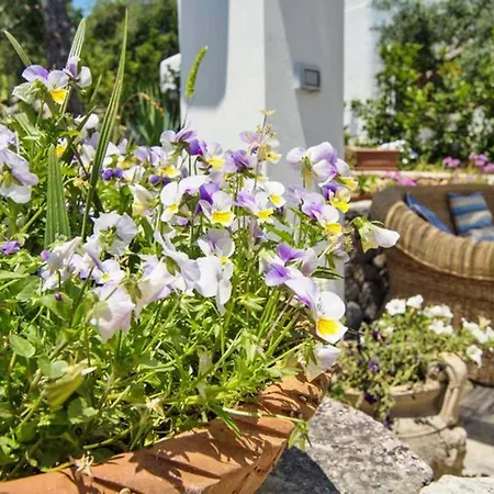 Villa Scarnera *